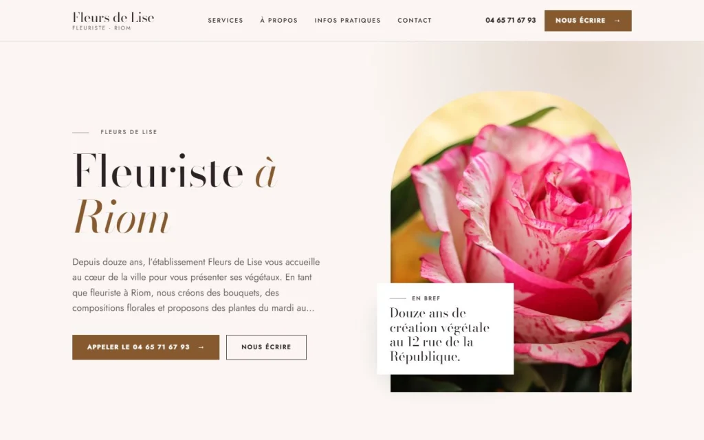 Style Élégance - rose poudré et bronze, raffiné